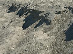 080508_Roald_Amundsen 151